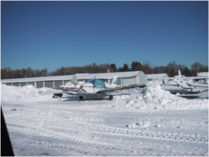 Pippa before her new paint!