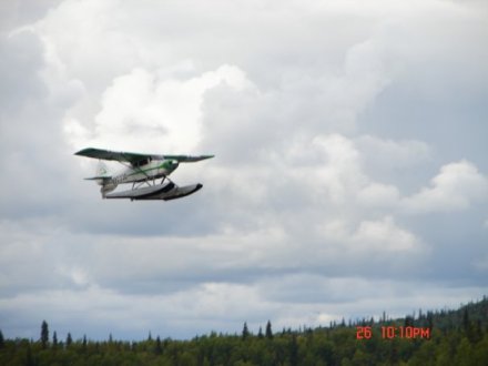 n34505002_32076278_262