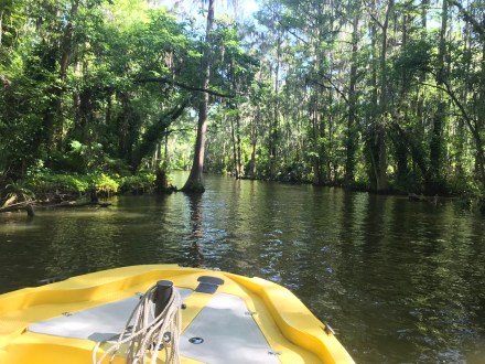 Photo Mar 30, 4 34 02 PM (1)